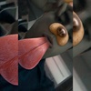 Profile Picture of jeffsilva (@@jeffsilva451) on Tiktok