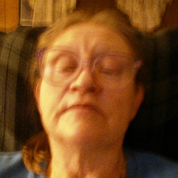 Profile Picture of Donna Sethman (@sethmandonna) on Poshmark