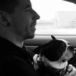 Profile Picture of Matt Heald (@matt.heald) on Instagram
