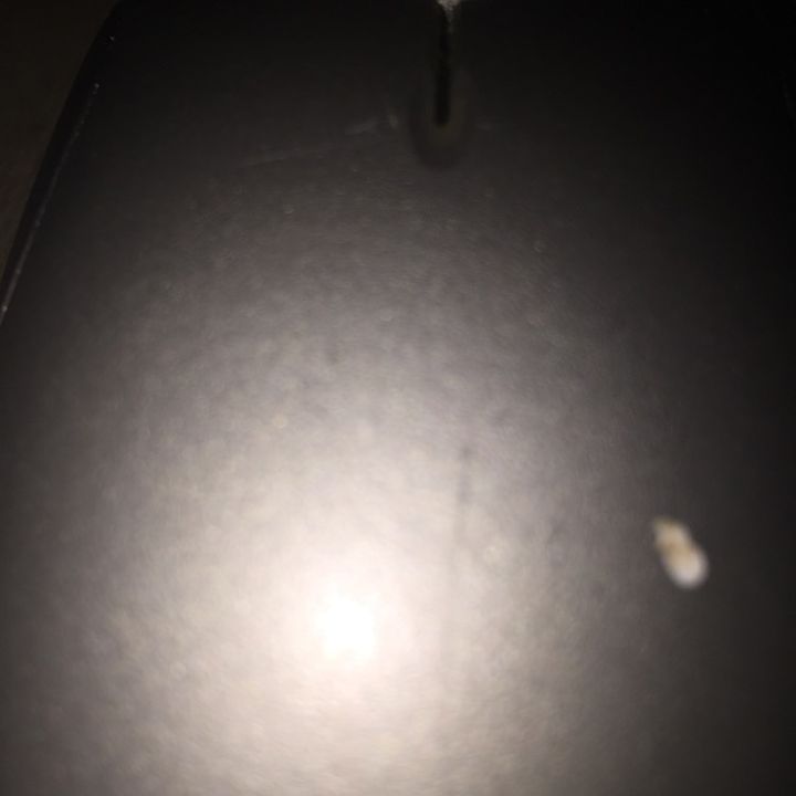 Profile Picture of ian manley (@ianmanley) on Tiktok