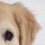 Profile Picture of Frances Long (@franceselong) on Instagram