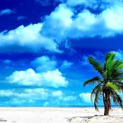 Profile Picture of James Eimont (@enockss) on Twitter