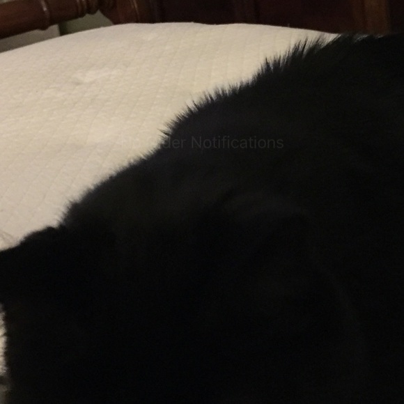 Profile Picture of Haley Nolan (@haleynolan401) on Poshmark