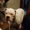 Profile Picture of Jeffery Walter (@@ssgstormer) on Tiktok