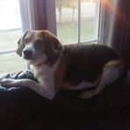 Profile Picture of Robin Mallow (@Robin-Mallow) on Facebook