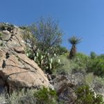 Profile Picture of Gabriel Jacquez (@gj_84231402) on Instagram