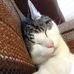 Profile Picture of Benjamin Myhre Sitter (@benjamin.myhresitter) on Facebook