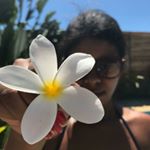 Profile Picture of Danny Sousa (@danny_sousa_) on Instagram
