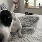 Profile Picture of James Gorman (@James-Gorman) on Facebook