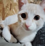 Cristofer Diaz - Facebook Profile Picture of Cristofer Diaz (@Cristofer-Diaz) on Facebook