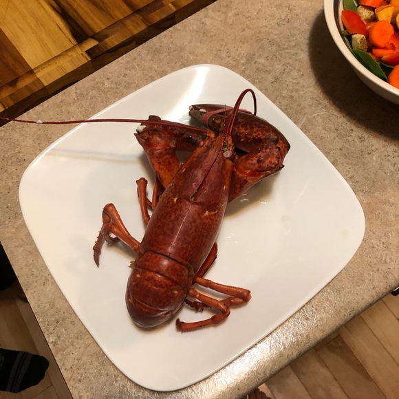 Profile Picture of Hayley Cressey (@hayleycressey) on Poshmark