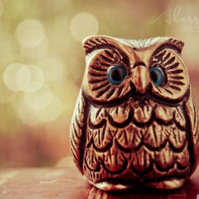 Profile Picture of Frances Lucas (@franceslucas850) on Twitter