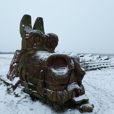 Profile Picture of Dawn Patterson (@DawnPEastAntri1) on Twitter