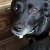 Profile Picture of Andrea Brucker (@andrea.brucker.102) on Facebook