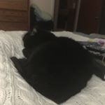 Sylvia Heck - Instagram Profile Picture of Sylvia Heck (@syheck) on Instagram