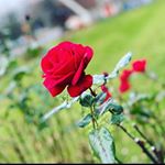 Profile Picture of Ayanna Brown (@abrown9829) on Instagram