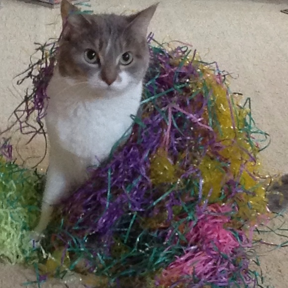 Profile Picture of Devonna Howdershelt (@glambitious2015) on Poshmark