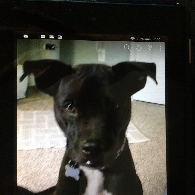 Profile Picture of Joanna Browne (@JoannaBrowne5) on Twitter