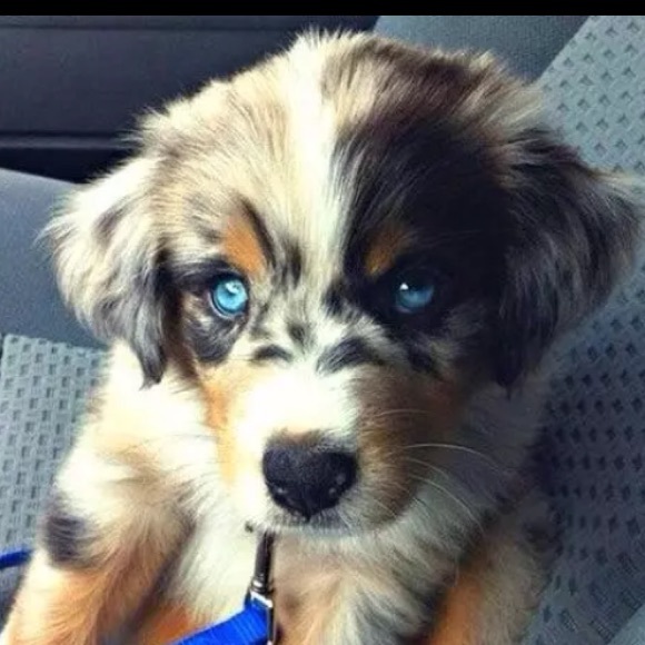 Profile Picture of Julia Gelston (@juliagelston_) on Poshmark