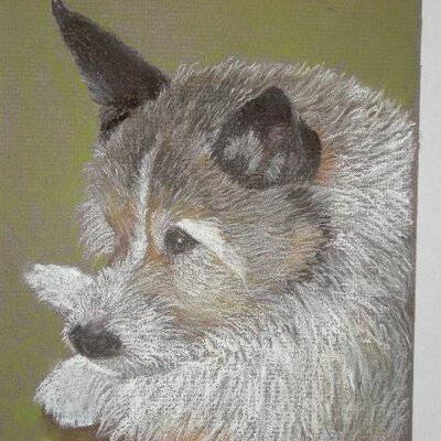 Profile Picture of Harvey Booker (@dimarian01) on Twitter