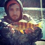 Profile Picture of Steve Garvey (@steve.garvey) on Instagram
