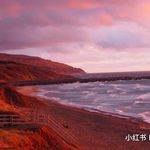 Profile Picture of Robert-K (@folgers__) on Instagram