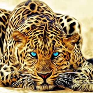 Profile Picture of Takisha Itsmylove Wright (@takisha.i.wright) on Facebook