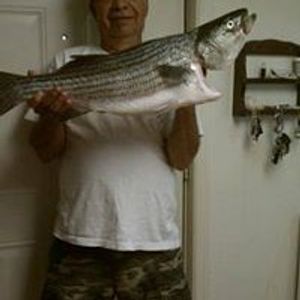 Profile Picture of Edwin Atheo Rivera (@epifanio.borges) on Myspace