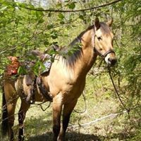 Profile Picture of Diane Benjamin (@diane-benjamin-12) on Quora