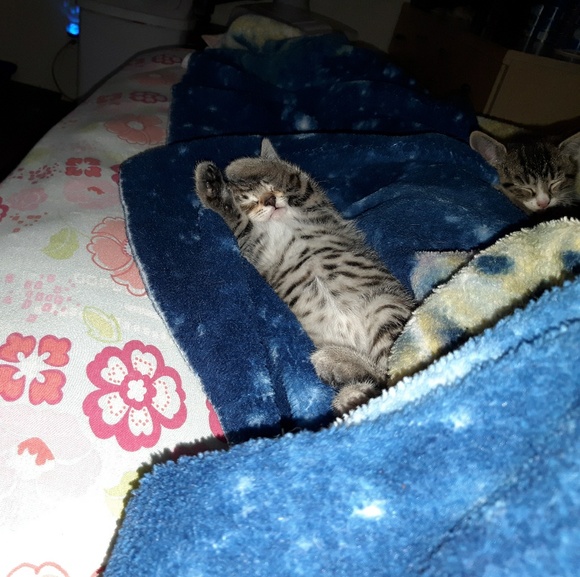 Profile Picture of Georgene Eukers (@georgeneeukers) on Poshmark