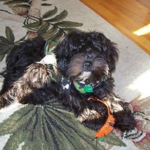 Profile Picture of Valerie Peck (@vallpeck) on Myspace