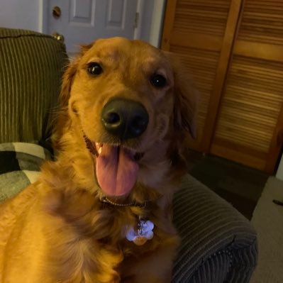 Profile Picture of Brian Henn (@brianhenn6) on Twitter