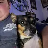 Profile Picture of Aaronmathis17 (@aaronmathis17) on Tiktok