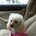Profile Picture of Ginger Calvert (@Ginger-Calvert) on Facebook