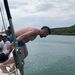 Profile Picture of Josiah Gerkensmeyer (@jgerkensmeyer) on Pinterest