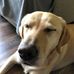 Profile Picture of Tim Reinhardt (@tim.reinhardt.378) on Facebook
