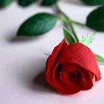 Profile Picture of hamid_moghadam20 (@hamid_moghadam20) on Instagram