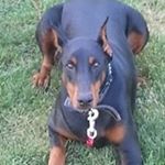 Profile Picture of John Schwertfeger (@johnschwertfeger) on Instagram