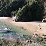 Profile Picture of Jillian McCallum (@jilly_61) on Instagram