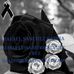 Profile Picture of Eric Parra (@eric.parra.7564) on Facebook