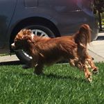 Profile Picture of Blake Moeller (@blakem0l0) on Instagram