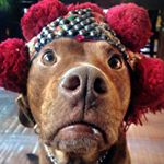 Profile Picture of kristin reimer (@kristinreimer) on Instagram