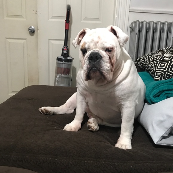 Profile Picture of Chantha Soeur (@csoeur) on Poshmark