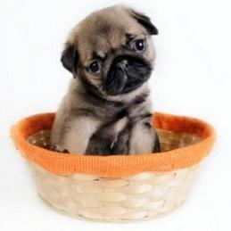 Jackeline Reyna - Twitter Profile Picture of Jackeline Reyna (@jackeline_1015) on Twitter