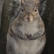 Profile Picture of Daniel Pendleton (@danielpendleton9434) on Youtube