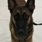 Profile Picture of Ken Neth Soles (@ken.neth.soles.2024) on Facebook