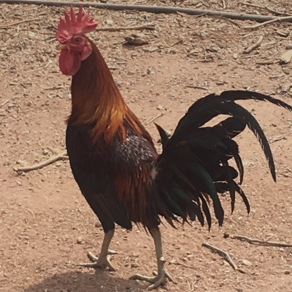 Profile Picture of Martin Solorio (@marsolo1366) on Poshmark