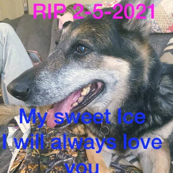 Profile Picture of Betsy Larusch (@betsylarusch) on Poshmark