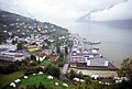 Profile Picture of Strandaon Wikipedia
