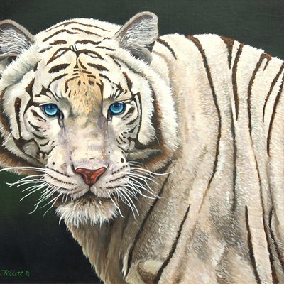 Profile Picture of Scott D. Tillett (@tillettscott) on Twitter